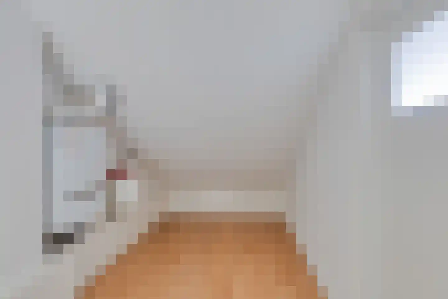van Aitzemastraat 26 Eindhoven thumbnail 24