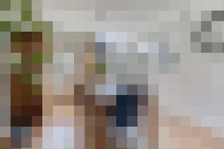 van Aitzemastraat 36 Eindhoven thumbnail 15