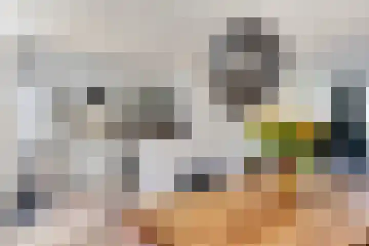 van Aitzemastraat 36 Eindhoven thumbnail 4