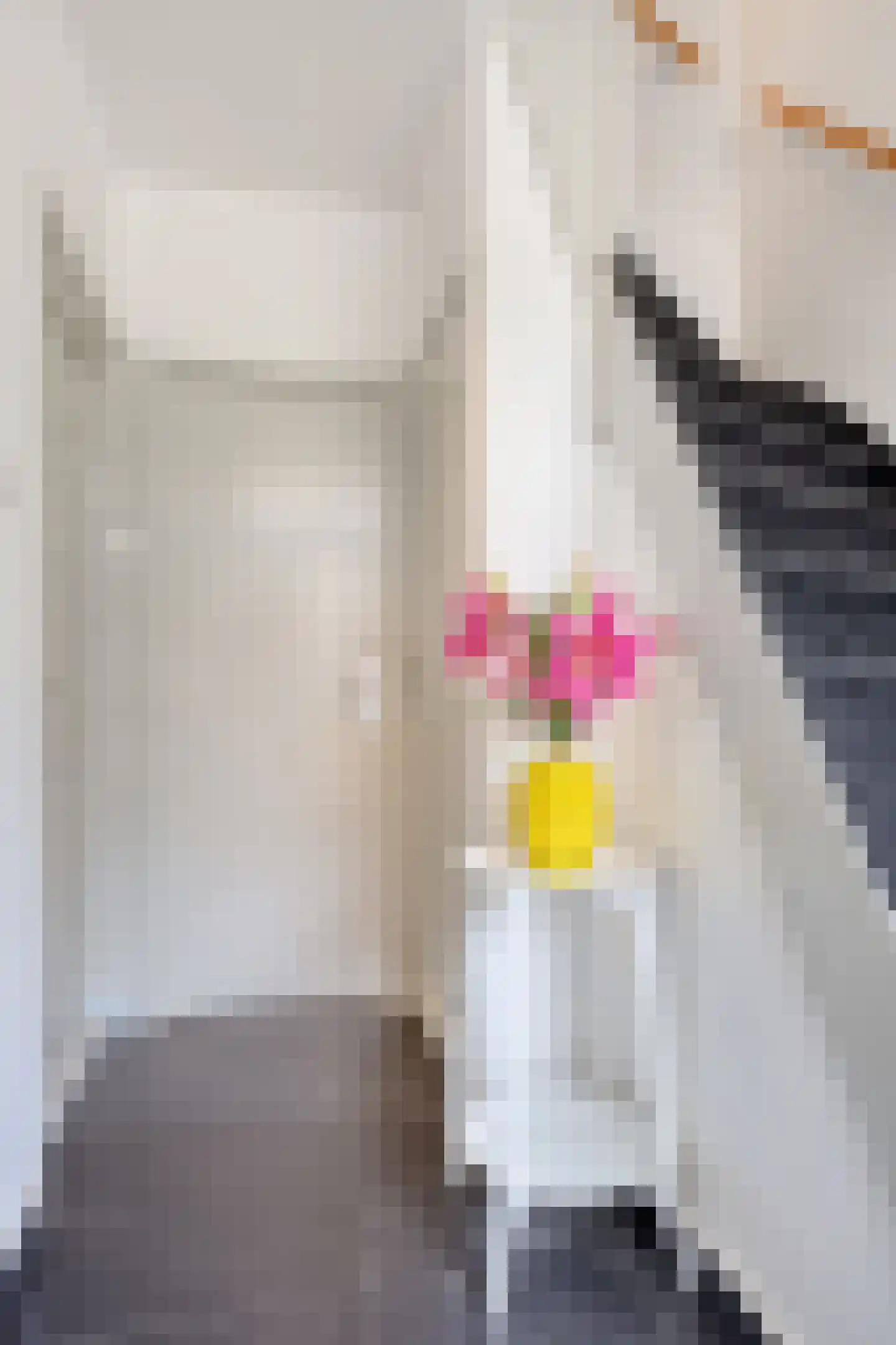 van Aitzemastraat 4 Eindhoven thumbnail 11