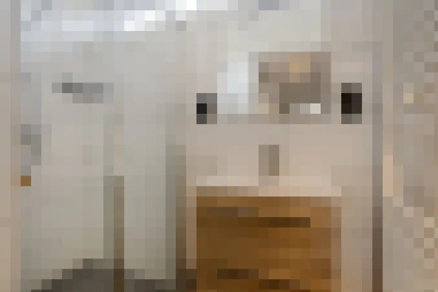 van Aitzemastraat 4 Eindhoven thumbnail 5
