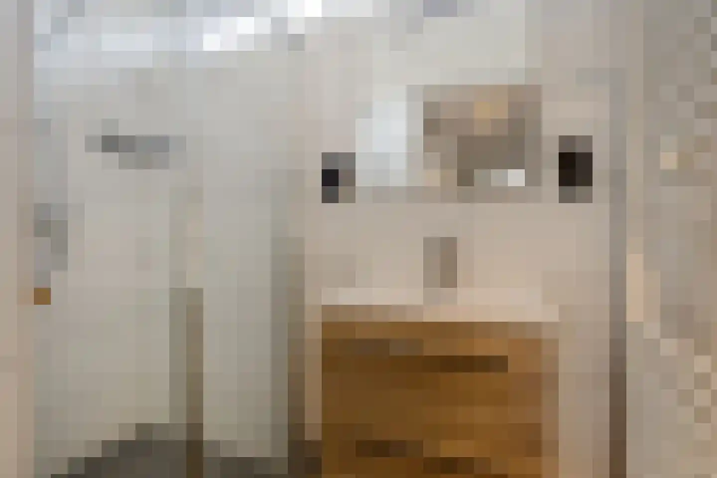 van Aitzemastraat 4 Eindhoven thumbnail 5