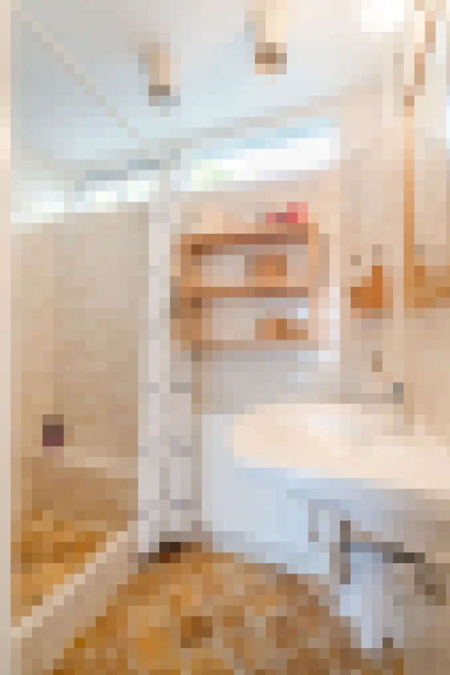 van Aitzemastraat 8 Eindhoven thumbnail 25
