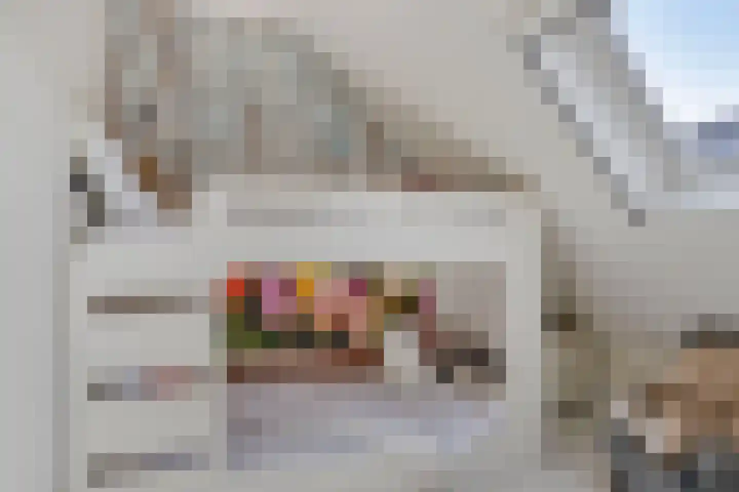 Van Akenstraat 10 Nieuw- en Sint Joosland thumbnail 25