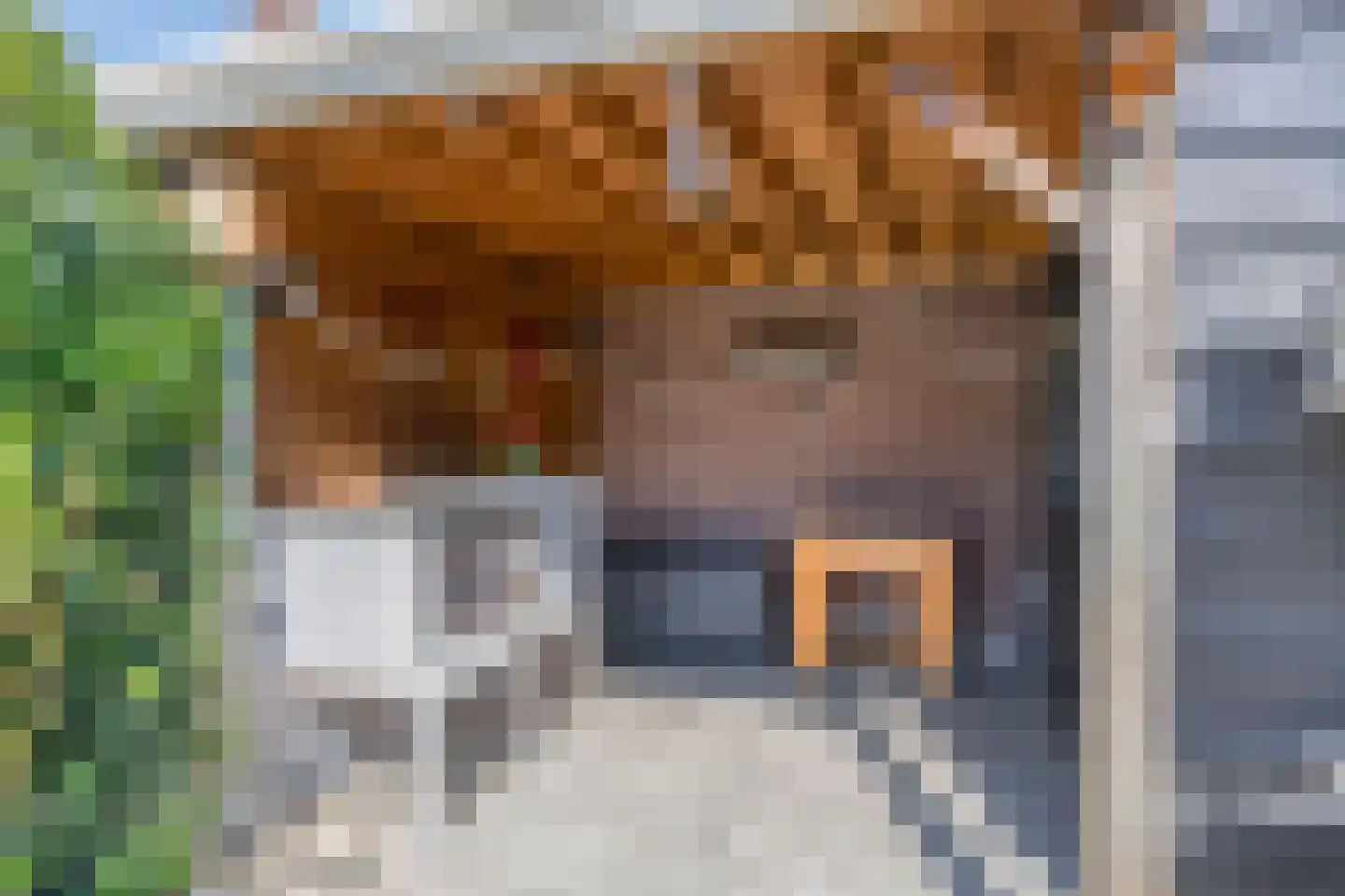 Van Akenstraat 10 Nieuw- en Sint Joosland thumbnail 31