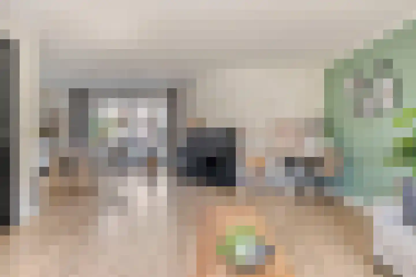 Van Akenstraat 10 Nieuw- en Sint Joosland thumbnail 7