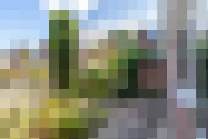 Van Akenstraat 4 Geleen thumbnail 17