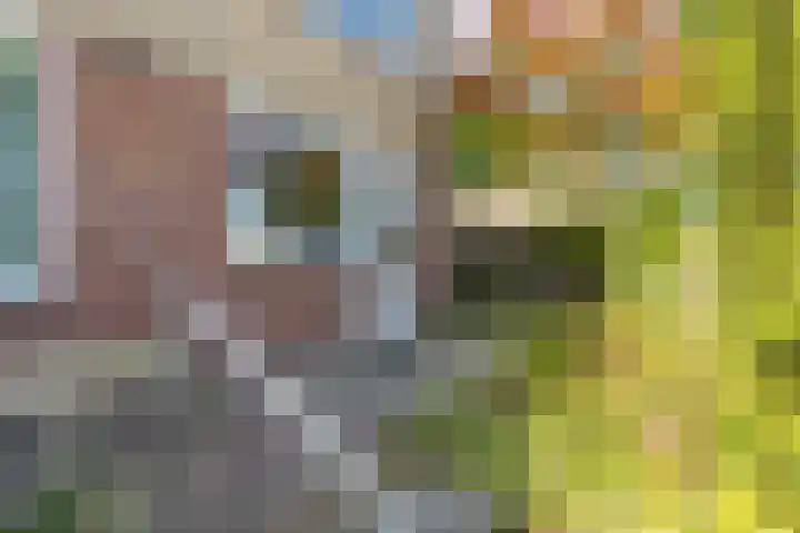 Van Akenstraat 4 Geleen thumbnail 20