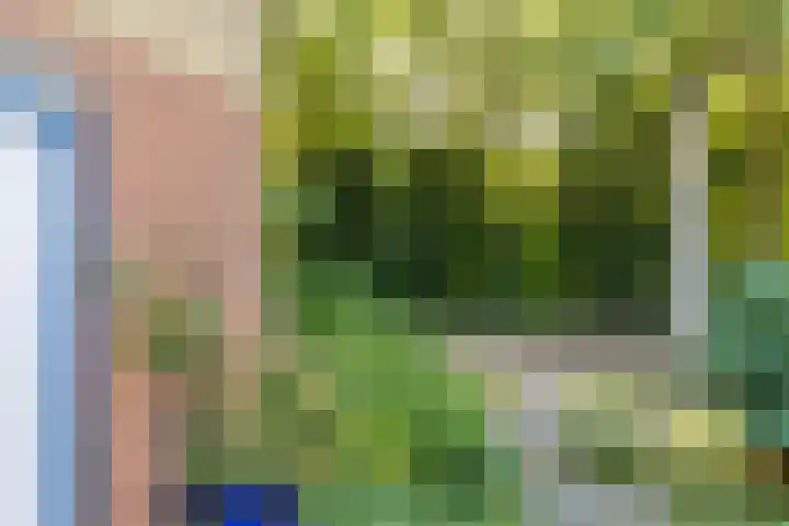 Van Akenstraat 4 Geleen thumbnail 4