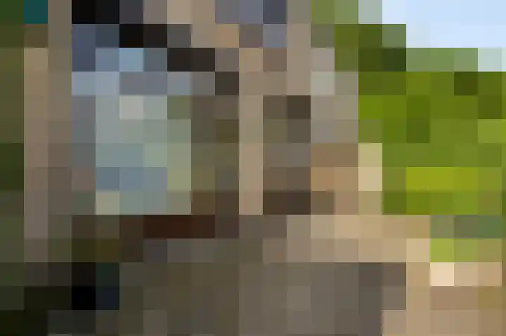 Van Akenstraat 50 Geleen thumbnail 18