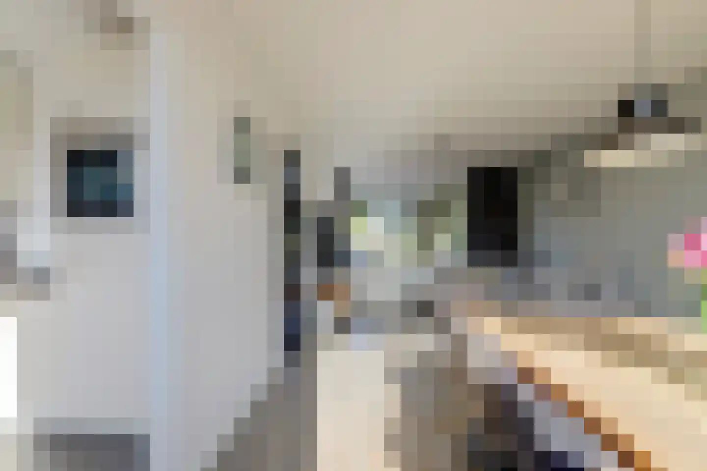 Van Akenstraat 7 Nieuw- en Sint Joosland thumbnail 12
