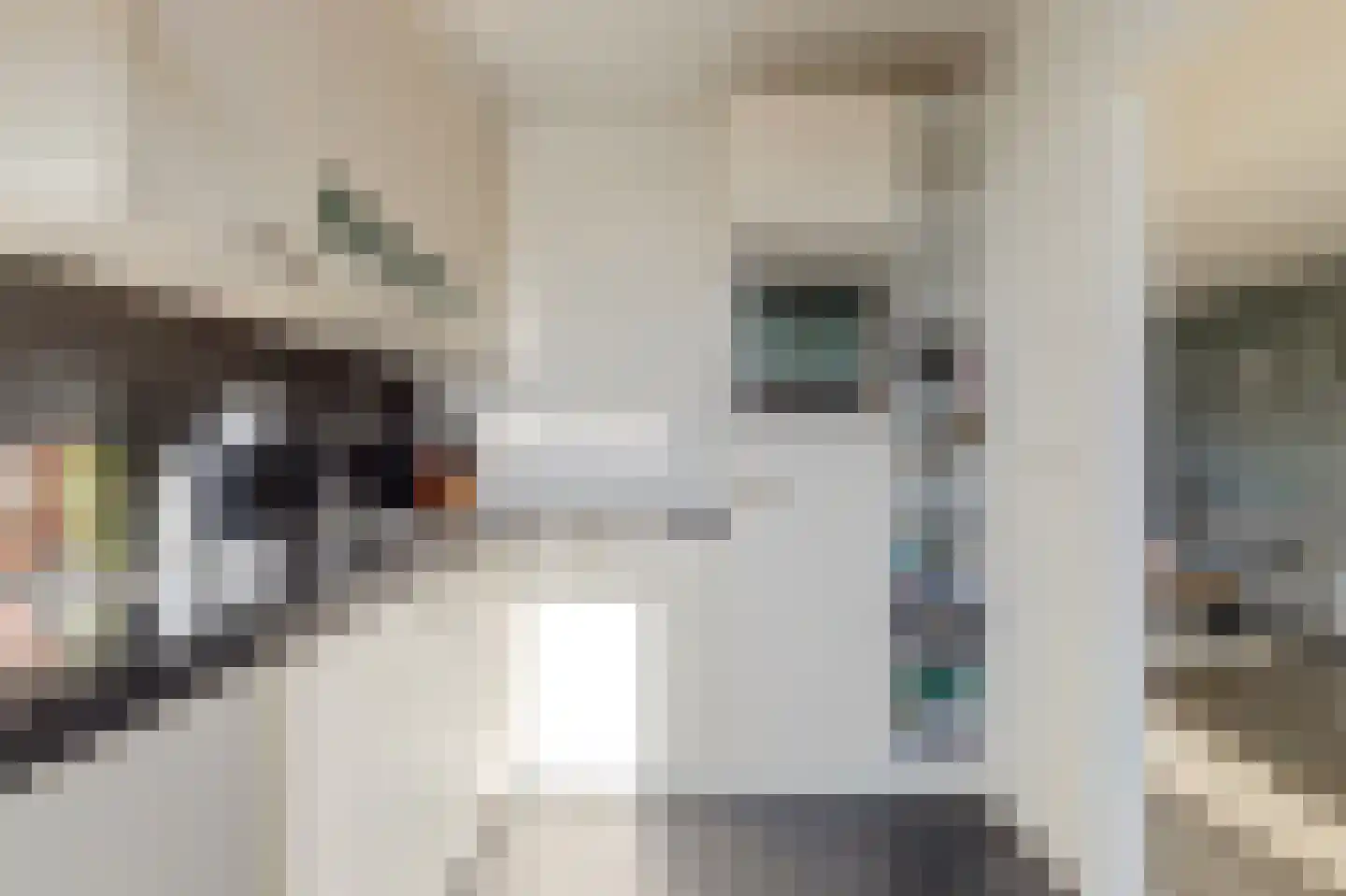 Van Akenstraat 7 Nieuw- en Sint Joosland thumbnail 14