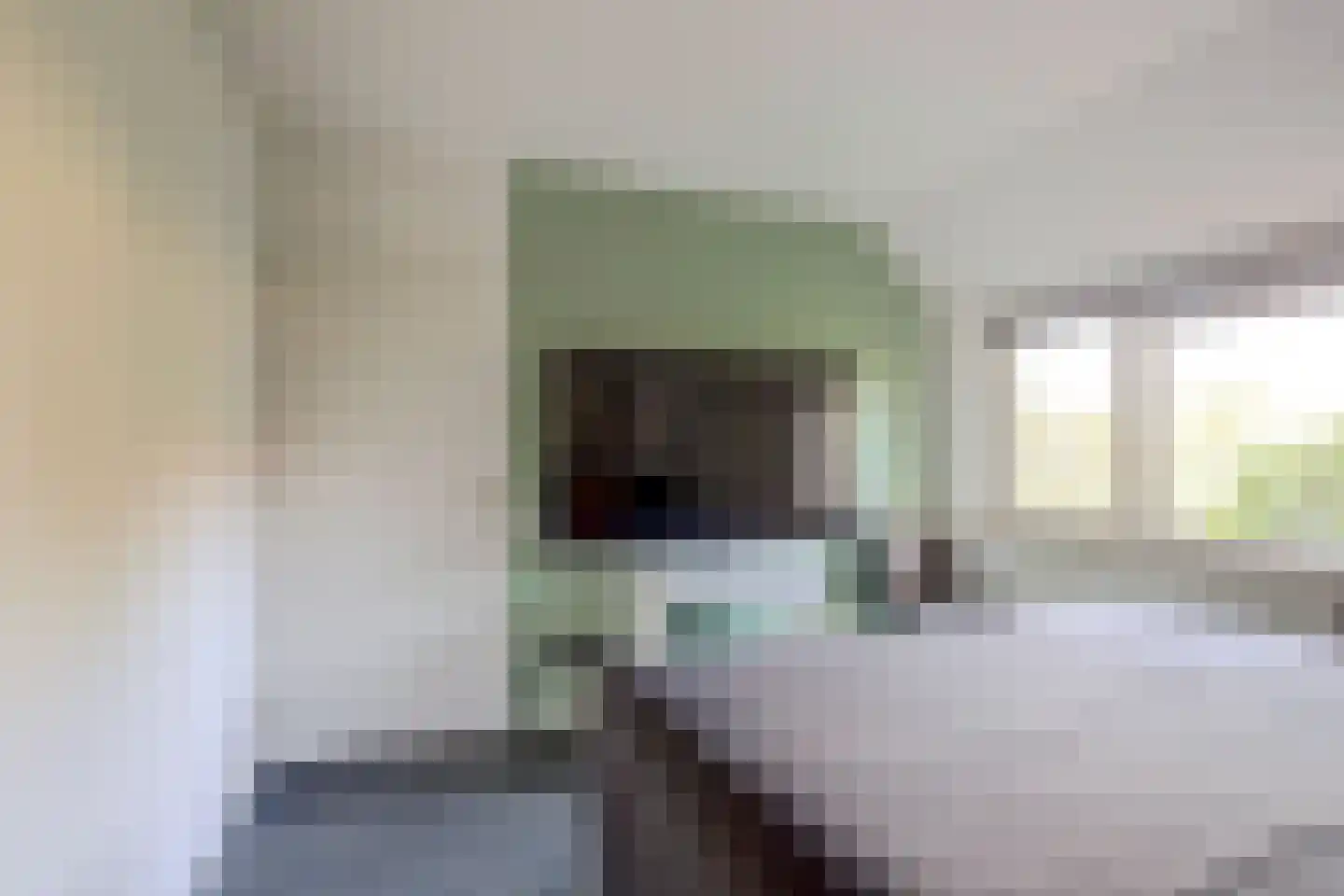 Van Akenstraat 7 Nieuw- en Sint Joosland thumbnail 19