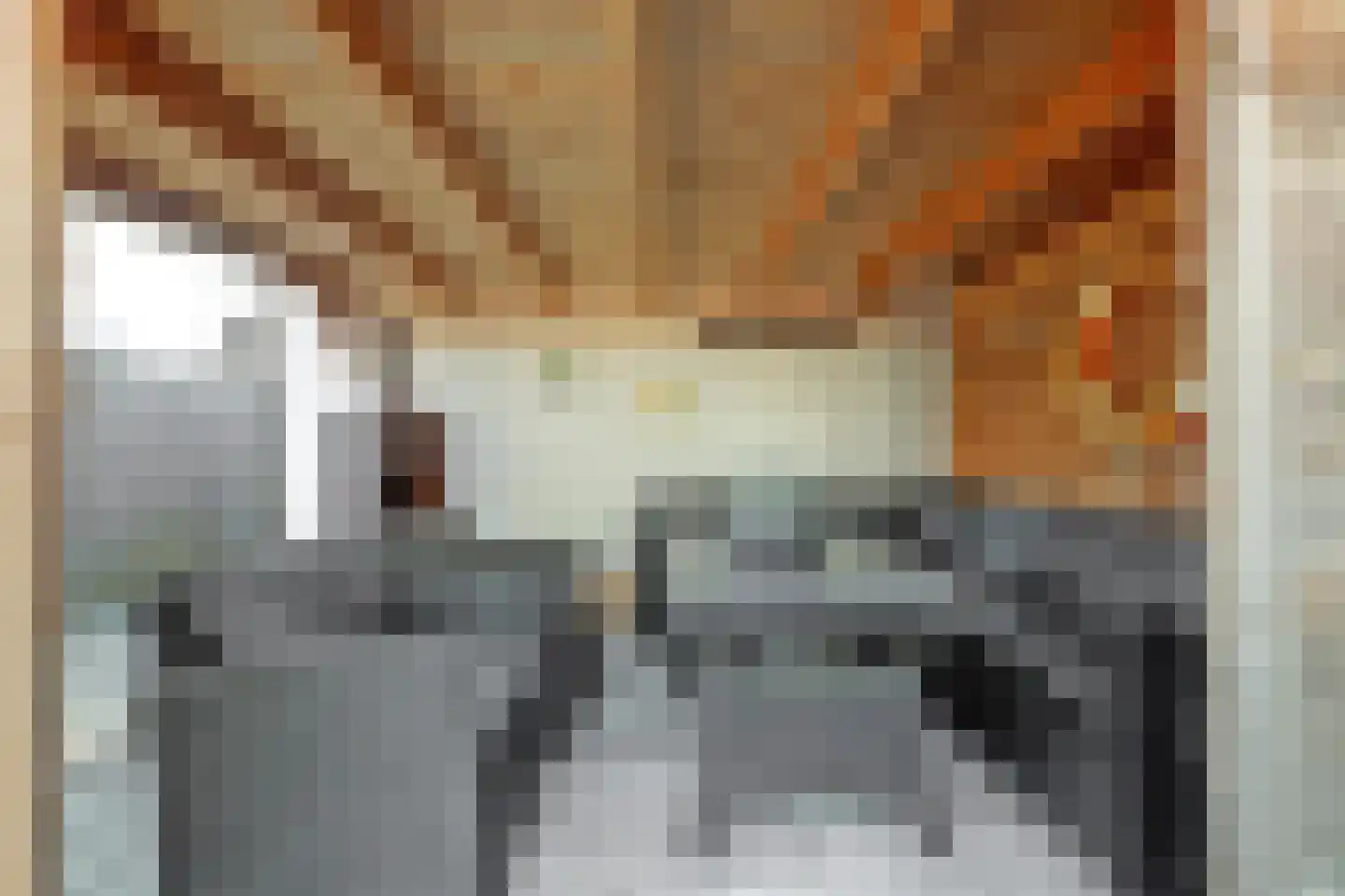 Van Akenstraat 7 Nieuw- en Sint Joosland thumbnail 30