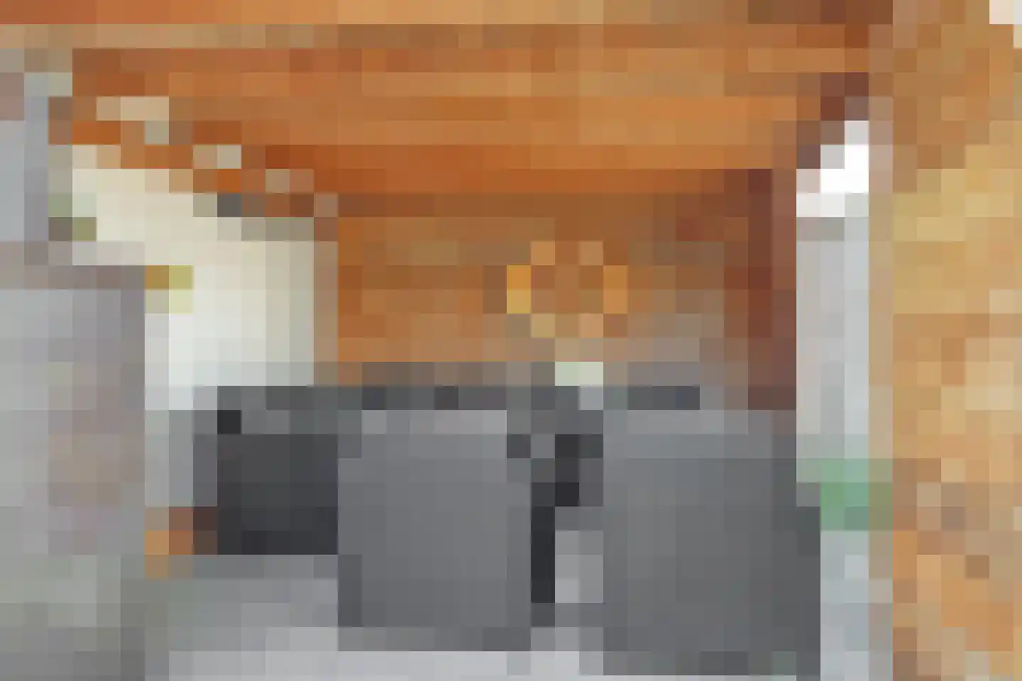 Van Akenstraat 7 Nieuw- en Sint Joosland thumbnail 31
