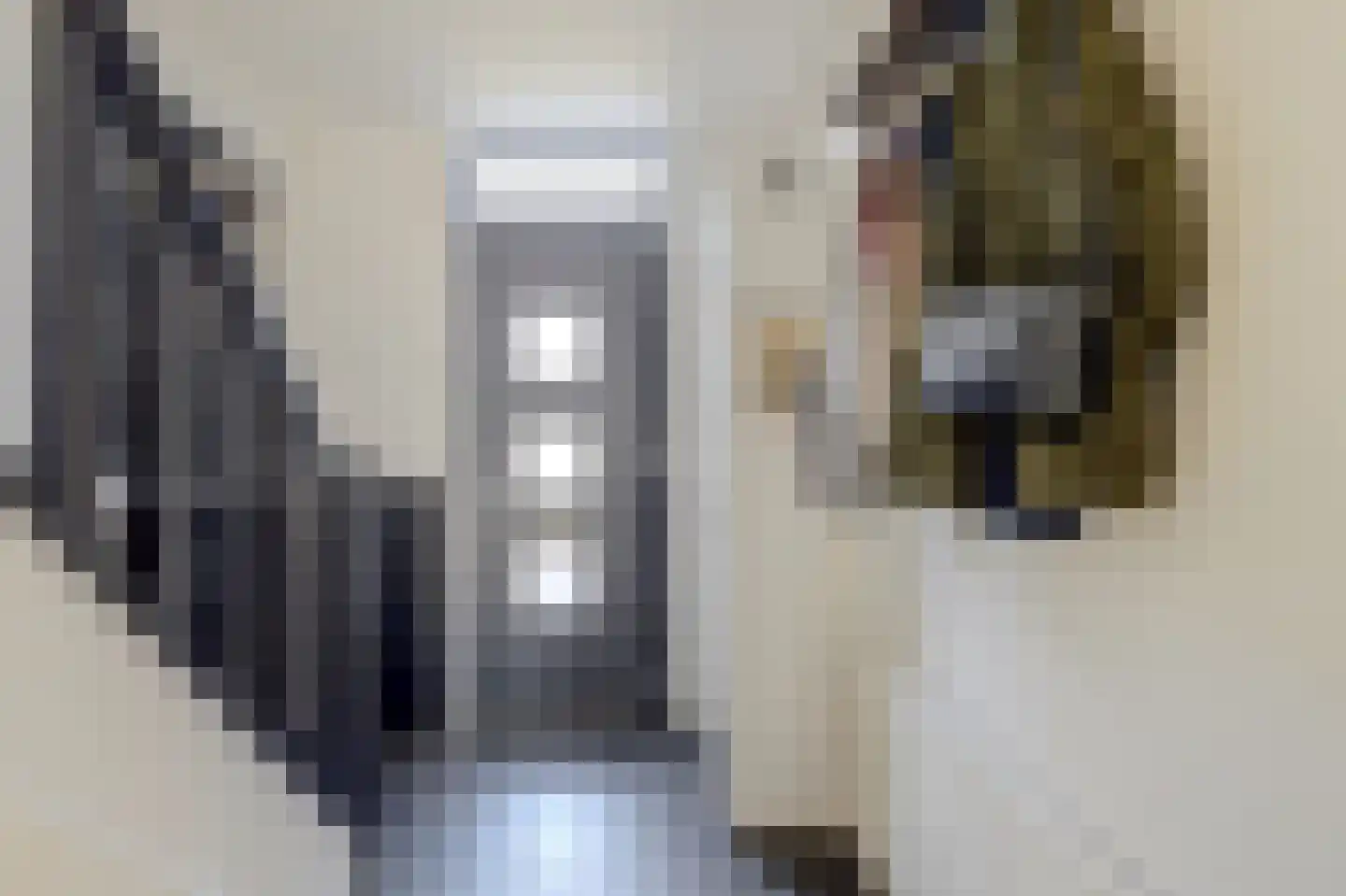 Van Akenstraat 7 Nieuw- en Sint Joosland thumbnail 6