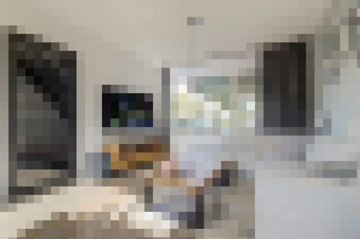 Van Akenstraat 7 Nieuw- en Sint Joosland thumbnail 9