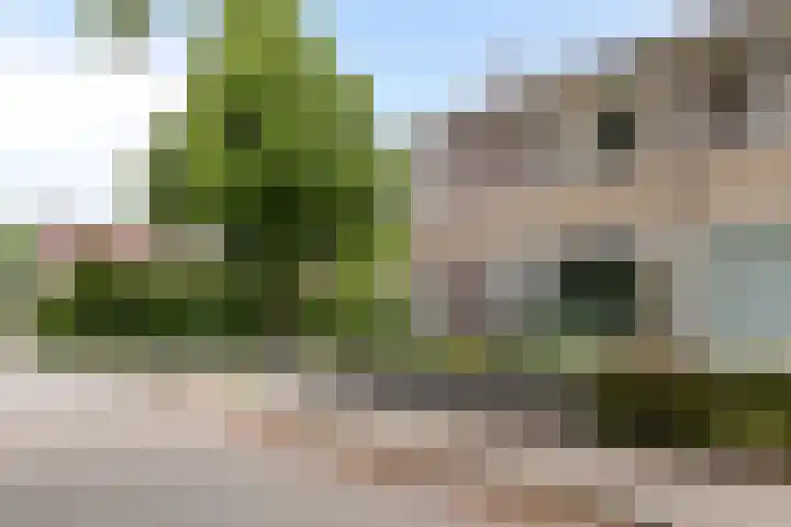 van Akenweg 113 Maastricht thumbnail 38