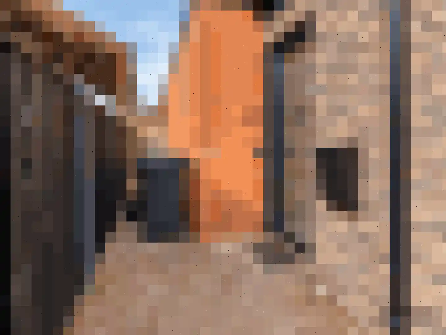 Van Akenweg 67 A 1 De Wilp thumbnail 22