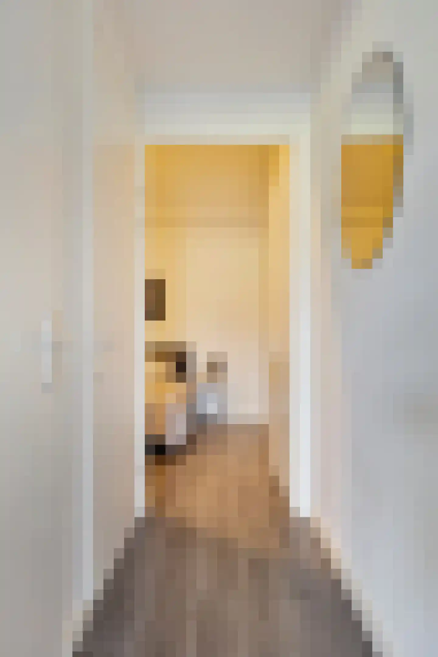 Van Akenweg 67 L De Wilp thumbnail 9