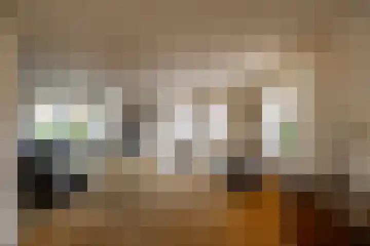 Van Akenweg 71 De Wilp thumbnail 11