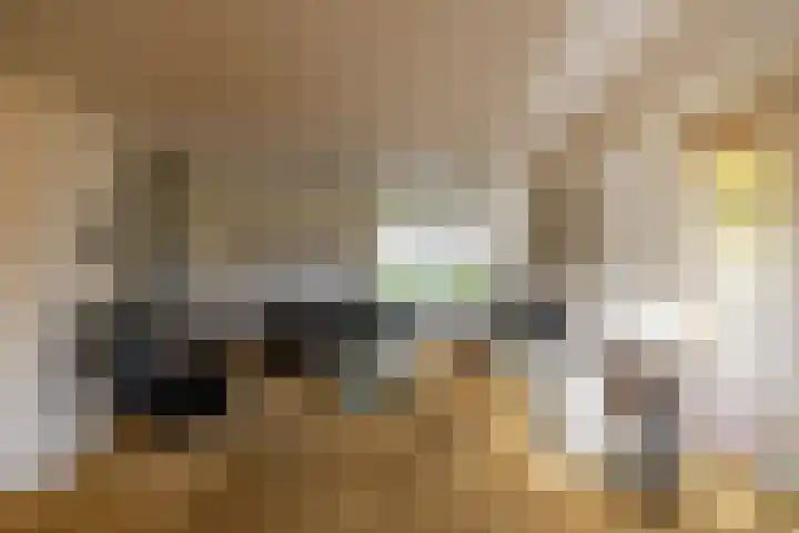 Van Akenweg 71 De Wilp thumbnail 12