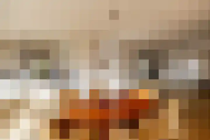 Van Akenweg 71 De Wilp thumbnail 15