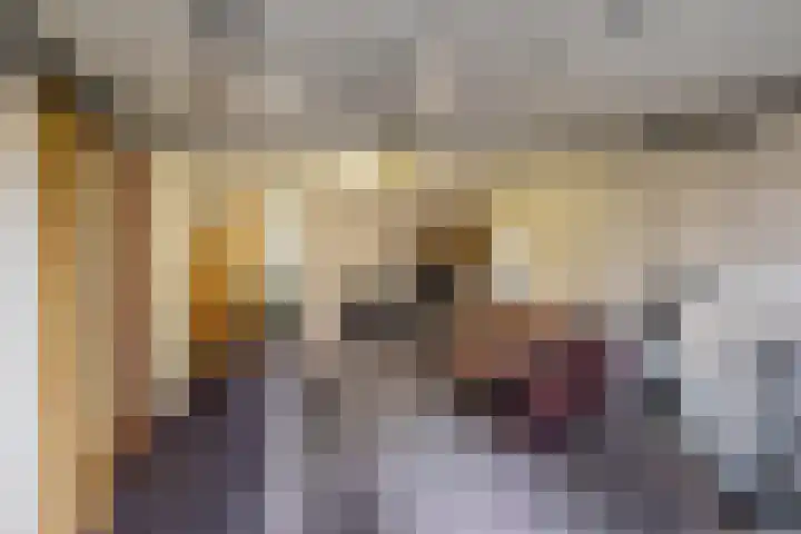 Van Akenweg 71 De Wilp thumbnail 19
