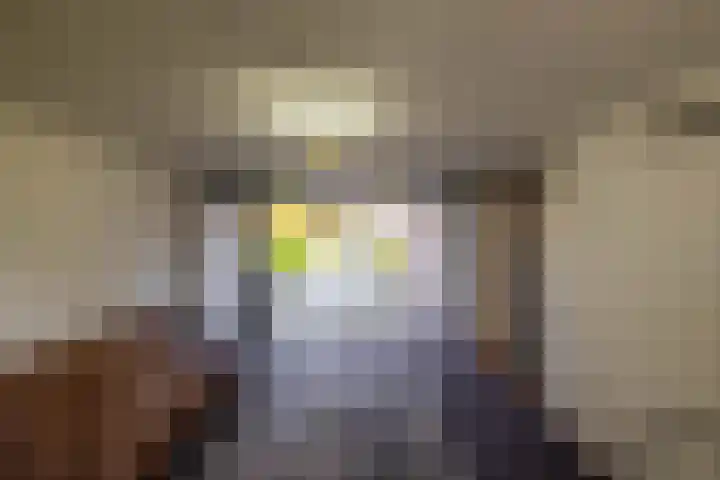 Van Akenweg 71 De Wilp thumbnail 20