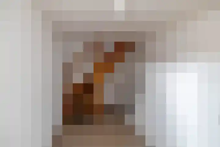 Van Akenweg 71 De Wilp thumbnail 21
