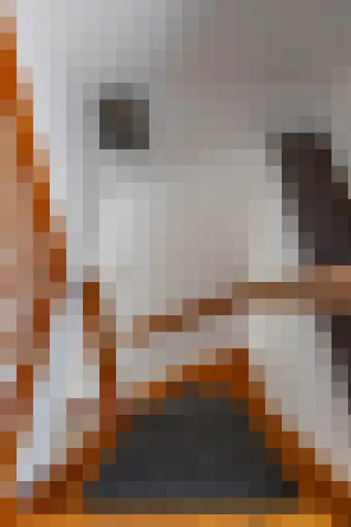 Van Akenweg 71 De Wilp thumbnail 22