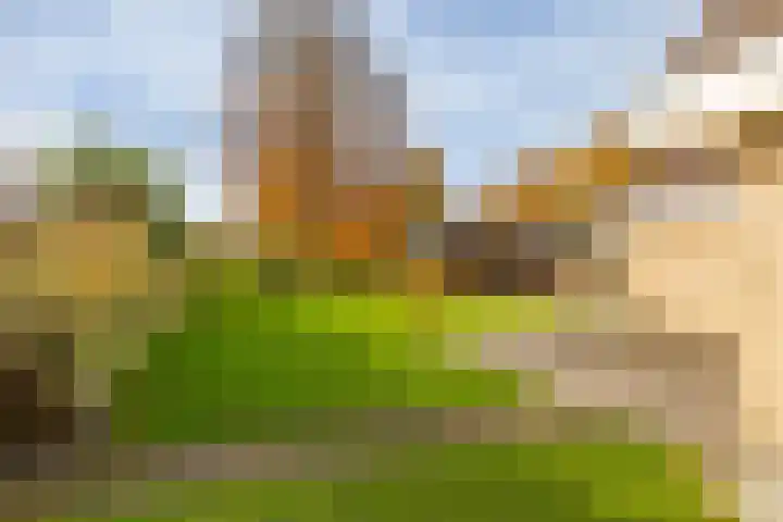 Van Akenweg 71 De Wilp thumbnail 26