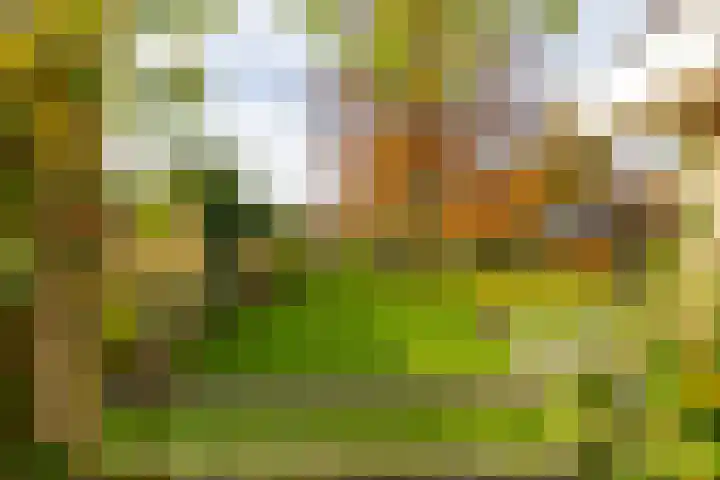 Van Akenweg 71 De Wilp thumbnail 27