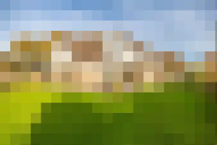 Van Akenweg 71 De Wilp thumbnail 28