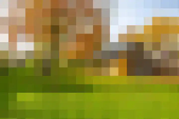 Van Akenweg 71 De Wilp thumbnail 29