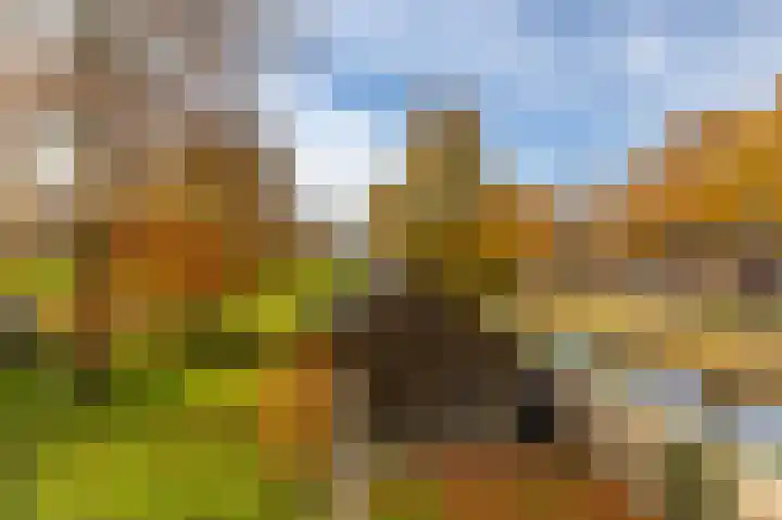 Van Akenweg 71 De Wilp thumbnail 30