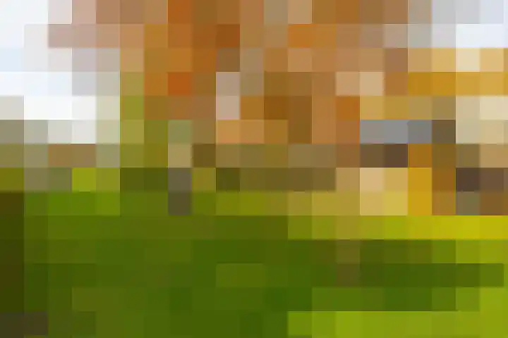 Van Akenweg 71 De Wilp thumbnail 31