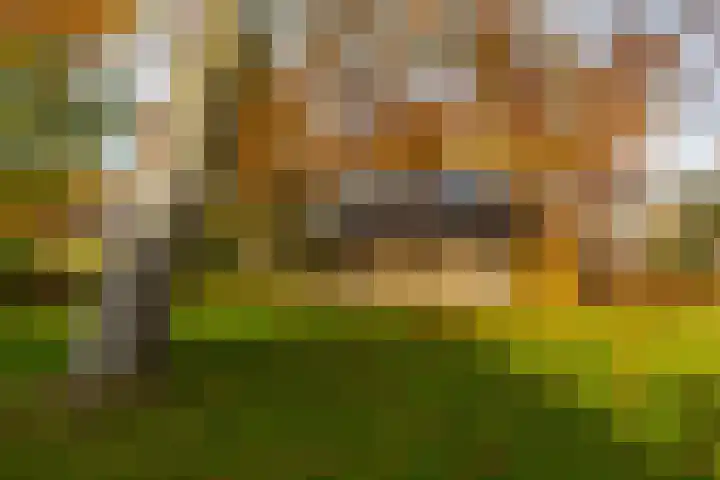 Van Akenweg 71 De Wilp thumbnail 32