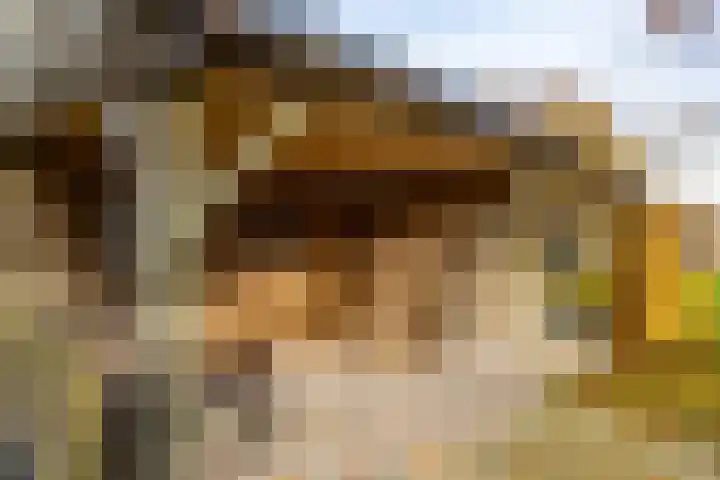 Van Akenweg 71 De Wilp thumbnail 33