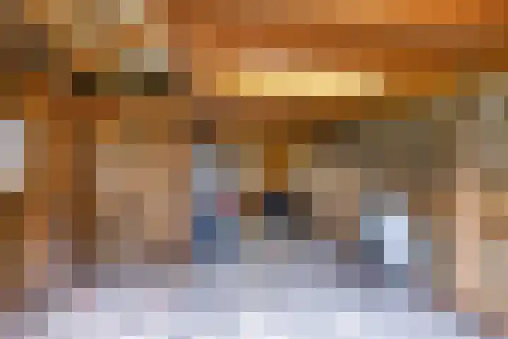 Van Akenweg 71 De Wilp thumbnail 34