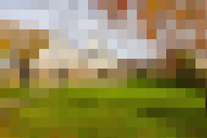 Van Akenweg 71 De Wilp thumbnail 4