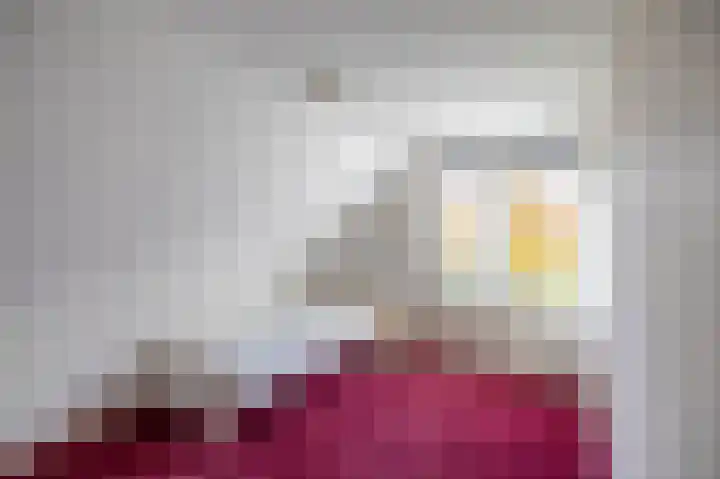 Van Akenweg 71 De Wilp thumbnail 41