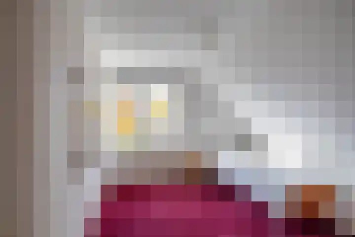 Van Akenweg 71 De Wilp thumbnail 42