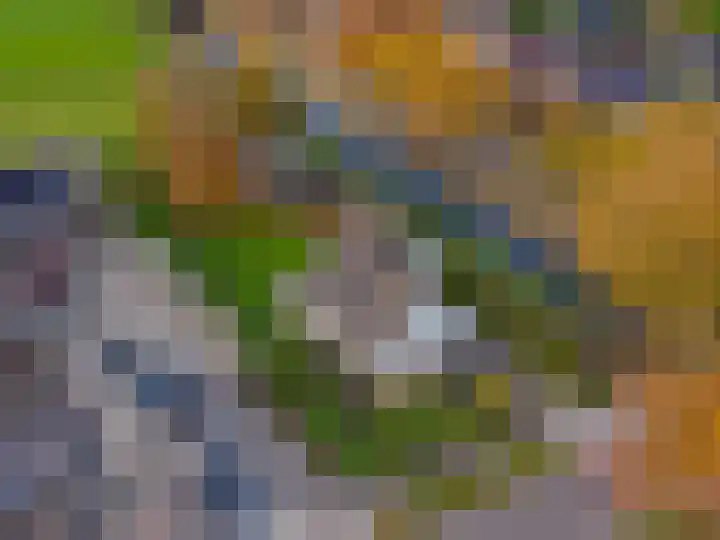 Van Akenweg 71 De Wilp thumbnail 46
