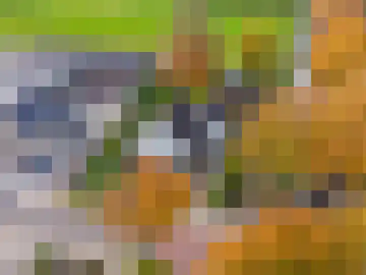 Van Akenweg 71 De Wilp thumbnail 47