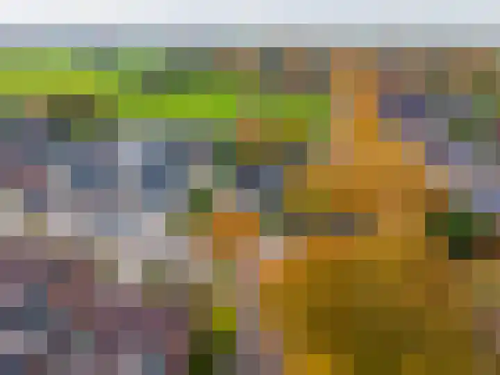 Van Akenweg 71 De Wilp thumbnail 48