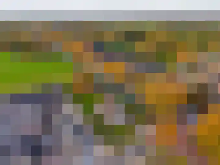 Van Akenweg 71 De Wilp thumbnail 49