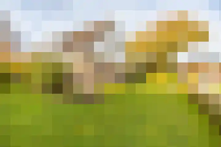 Van Akenweg 71 De Wilp thumbnail 5