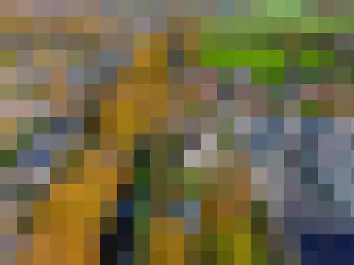 Van Akenweg 71 De Wilp thumbnail 50