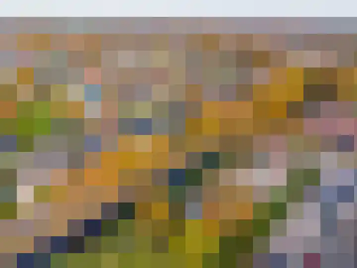 Van Akenweg 71 De Wilp thumbnail 51